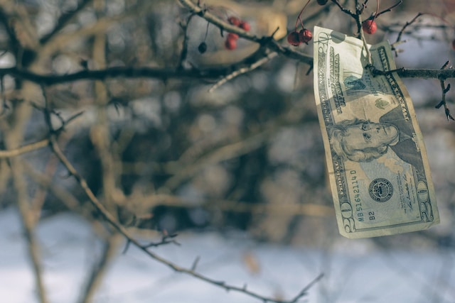 money grows on trees