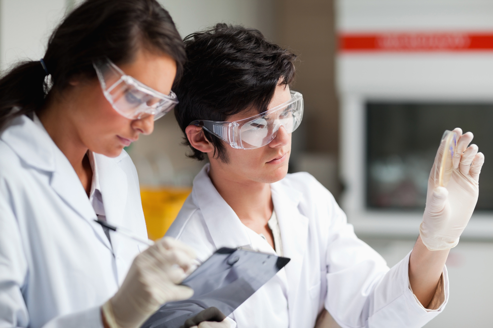 Concentrate science students looking at Petri dish in a laboratory.